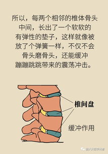 关于医生大白的温暖句子[摘抄106条内容