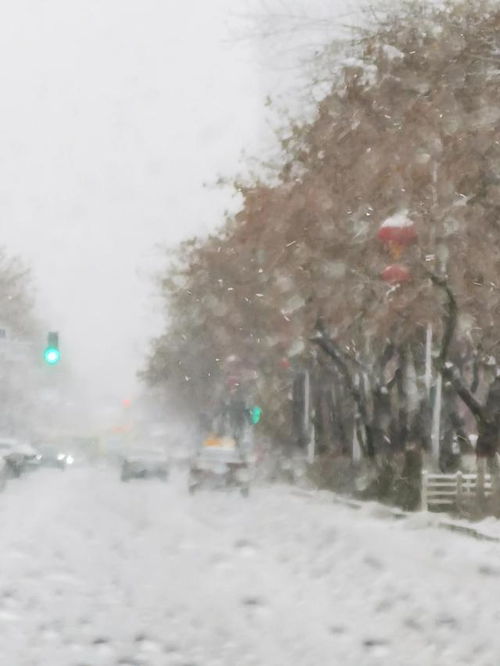 下雪想念一个人的诗句