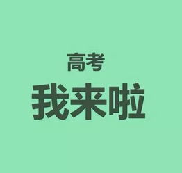 高考寄语18字