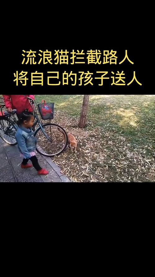 毒下面为什么是一个母字