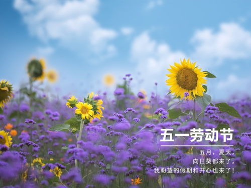 五一劳动节朋友圈暖心祝福句子2020