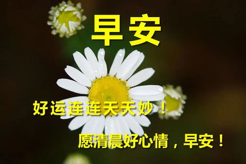 早安祝福图片集锦_美篇