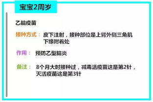 早产儿疫苗接种的注意事项包括