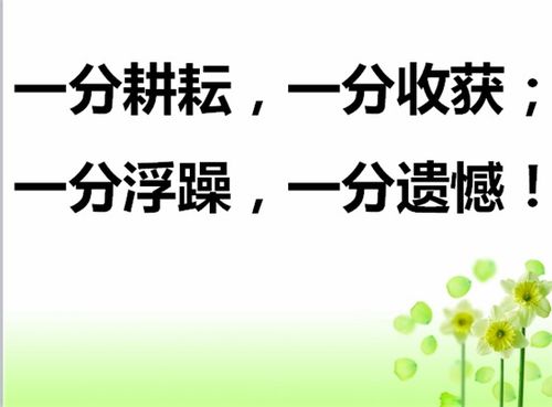 班主任高三毕业寄语简短