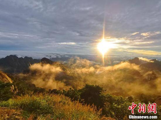 雨后的风景优美诗句