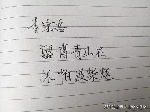 合作的句子经典语录