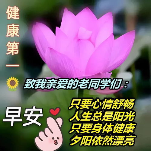 早上好精华句子大全