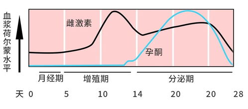 如何补充雌激素 女性