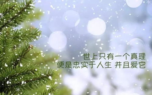 赞美雪花的短句