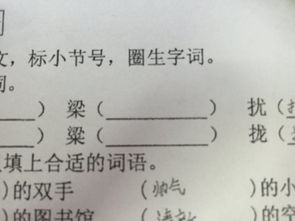 梁组什么词