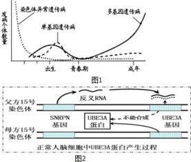 遗传病的概率