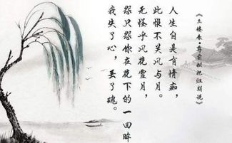 窗外风景诗词[摘抄47句怎么写