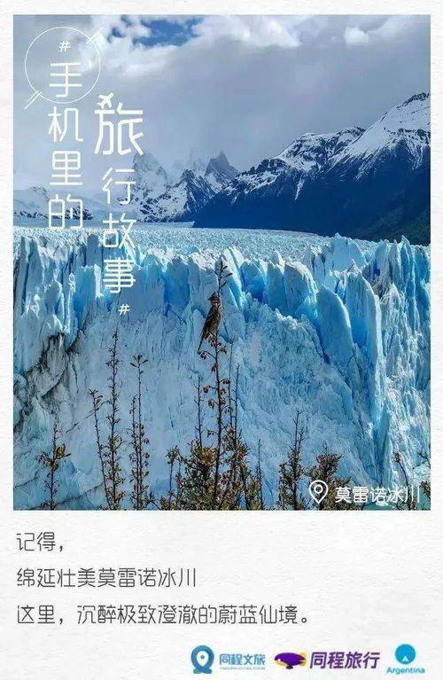 关于雪的文案短句干净治愈