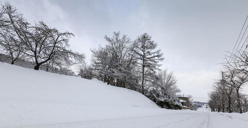 关于雪的文案短句干净治愈