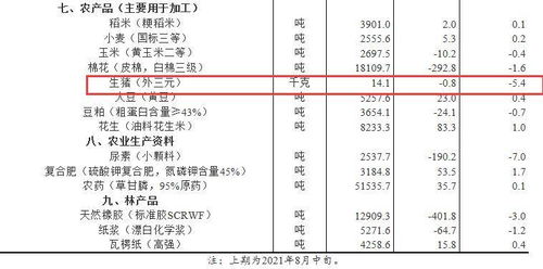 2019年7月5日属鼠的运势