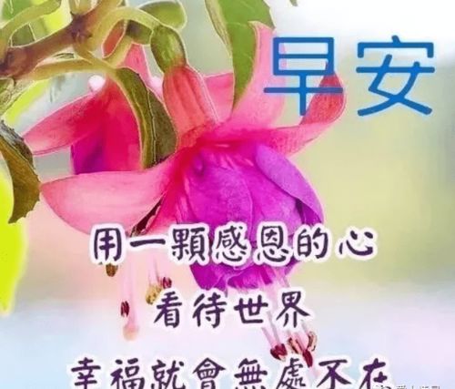 清晨祝福词句