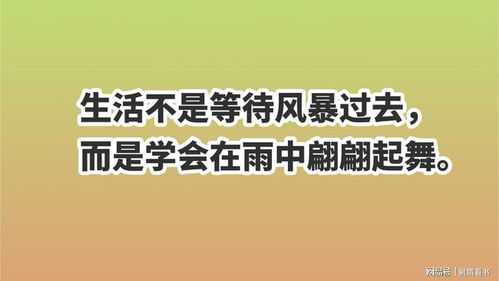 关于青年教师的名言