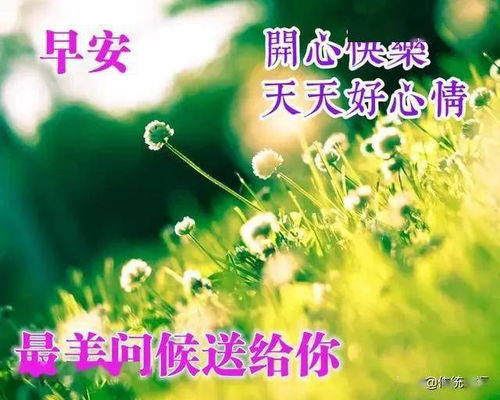 清晨的阳光诗句