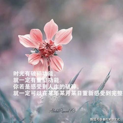 拍花发朋友圈的语句