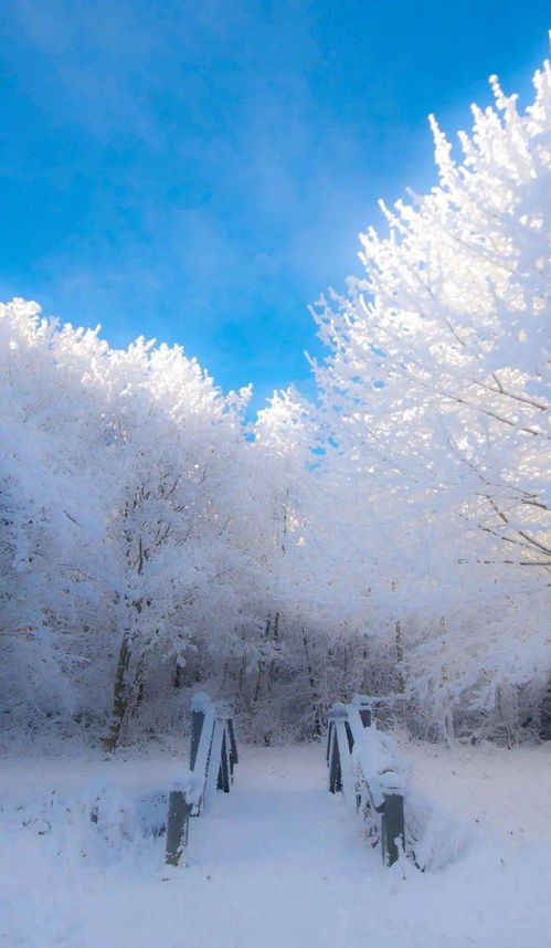 大雪纷飞短句