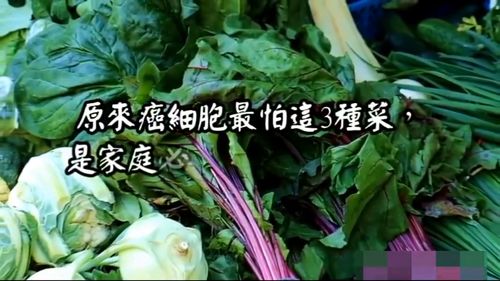 口中有痰吃什么蔬菜较好