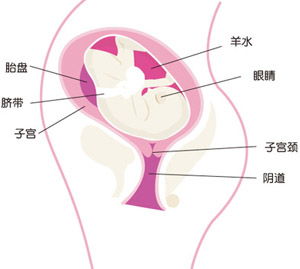 32周羊水正常值是多少?