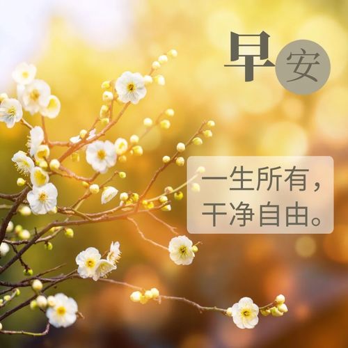 给女朋友早上暖心语短句