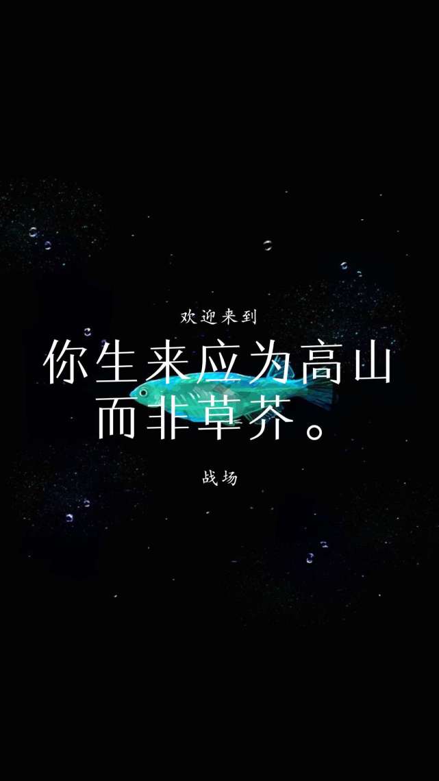 致2023年的自己800字