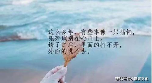 情感语录感悟人生的句子