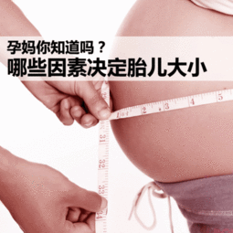 胎儿大小和孕妇肚子大小有关吗?