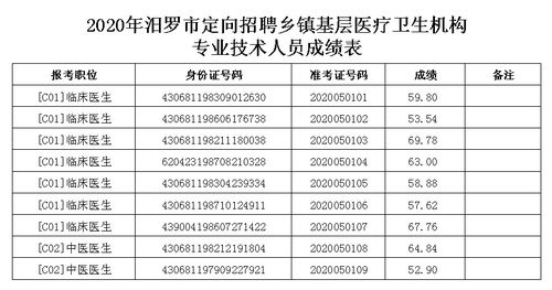 岳阳人事考试网报名