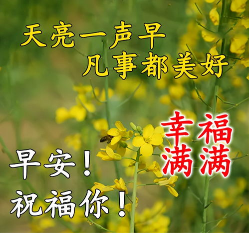 早安八字情话最暖心短句