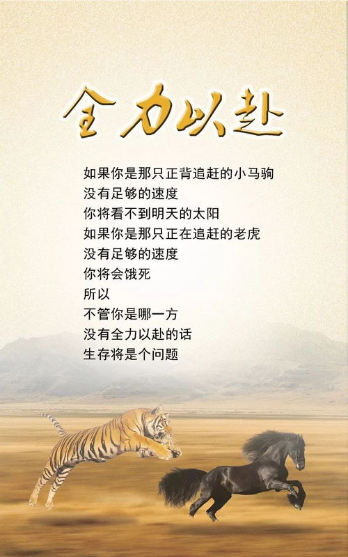 五周年 文案