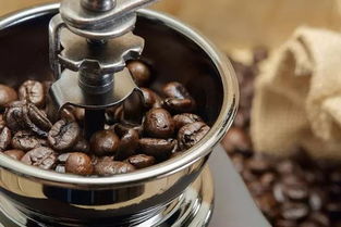 现磨的生咖啡豆一定要煮吗？