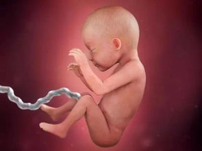 胎儿宫内缺氧有哪些症状