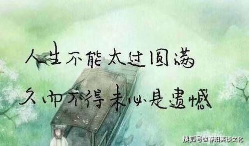 品酒人生经典语录[集锦114句怎么写