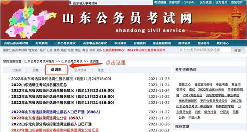 山东公务员报名网址官网