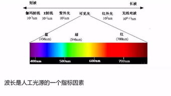 辐射对生理的影响包括