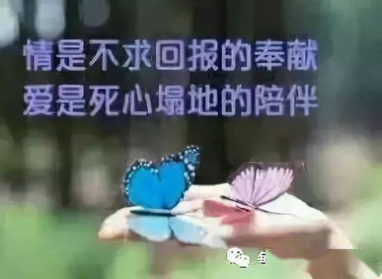 分手伤感扎心语录