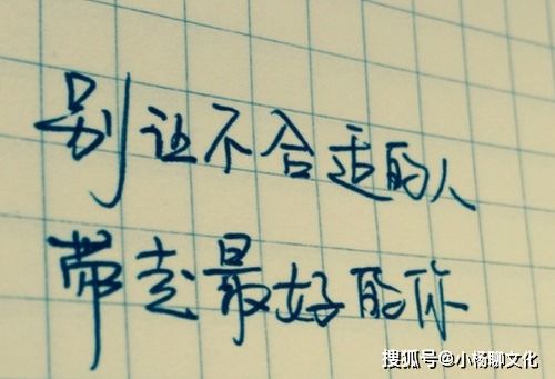 杠精的经典句子