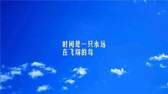 展望2021未来的励志句子