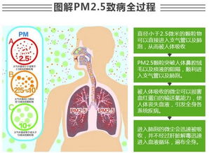 孕期雾霾怎么运动好