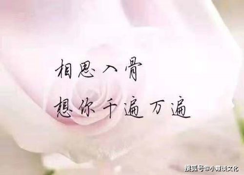 难过的心情句子说说心情