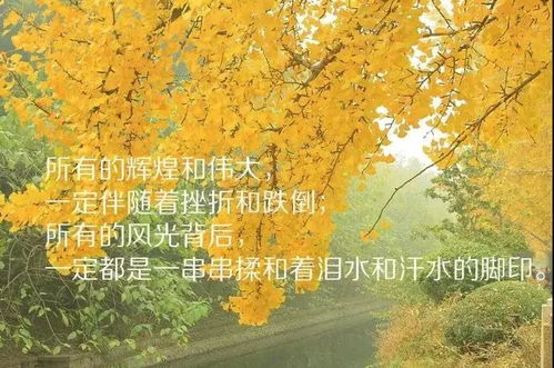 秋天下雨感慨说说心情文章