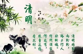 清明节语录经典