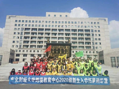 东北财经大学教务处官网