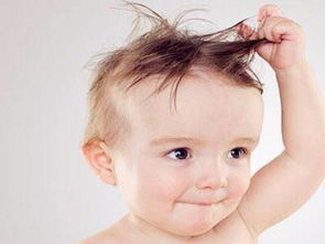 宝宝头发的生长过程视频