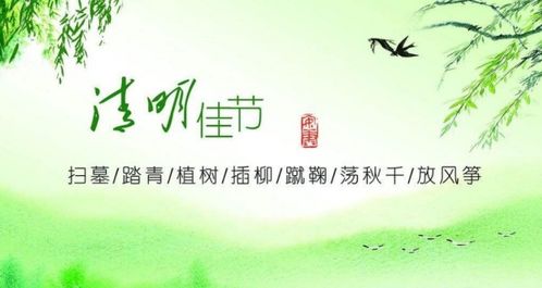 清明节怀念父母亲的句子