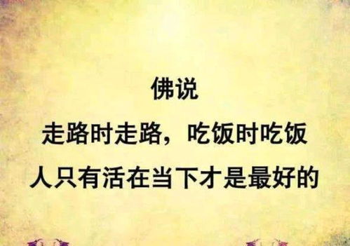 回首过去的经典句子难忘