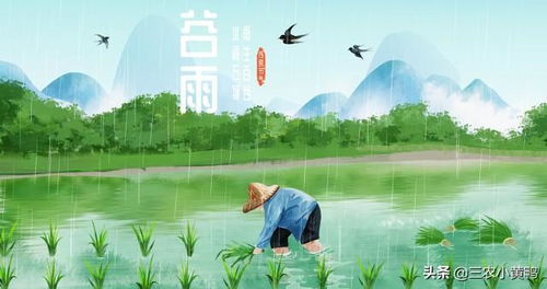 谷雨真的会下雨吗？